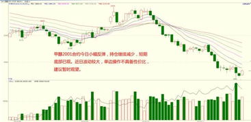 期货涨跌幅度解析