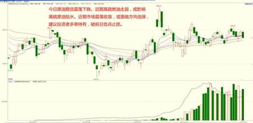 期货涨跌幅度解析