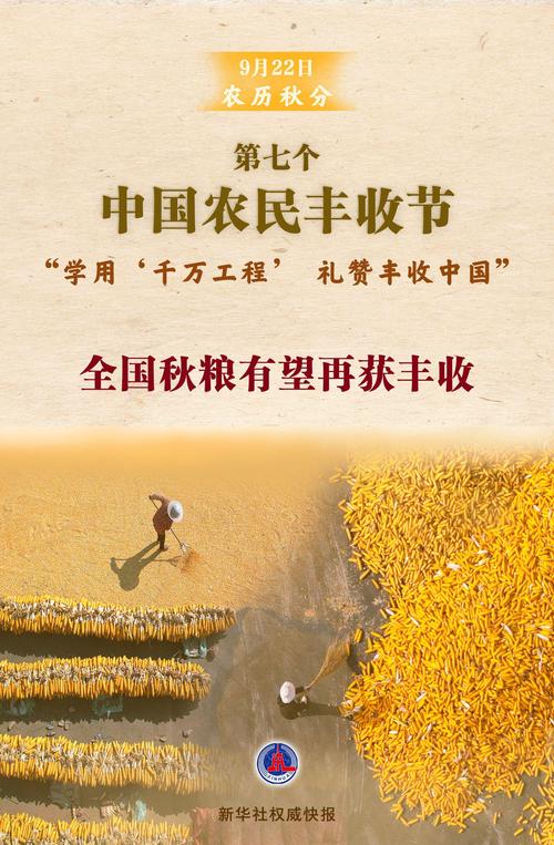 寿光果蔬期货_保险+期货_中国农民丰收节