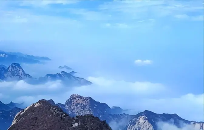 投资保险理财有风险吗_保险确定性理财工具_保险未来储蓄优势