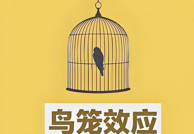 30万存款鸟笼效应_50万存款心理关_有30万存款该怎么理财