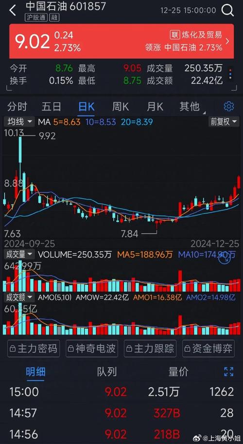 中石油股价走势分析_巴菲特对中石油的看法_中石油股票今天开盘价