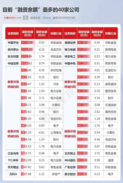 概念股有哪些股票_宁德时代融资客加仓_特斯拉概念股加仓