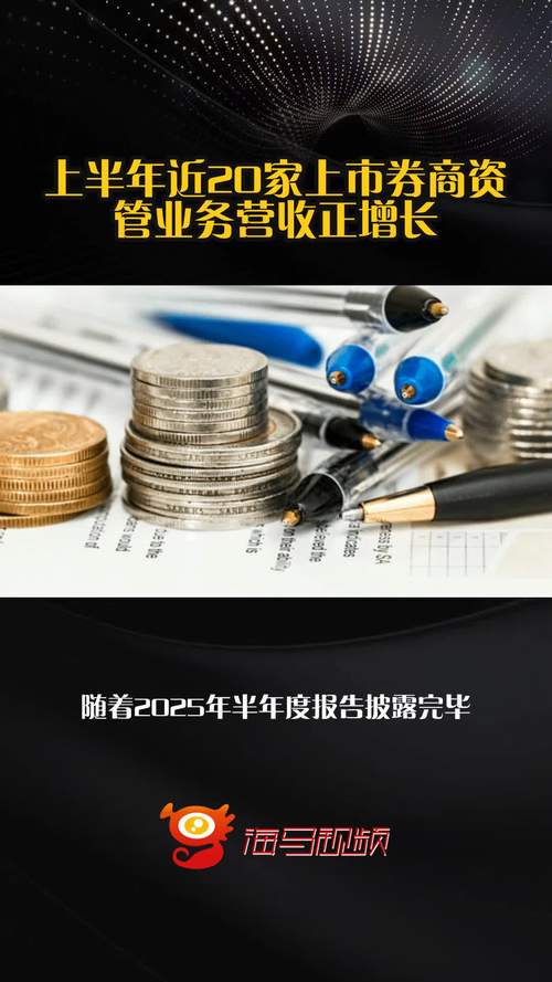 资管机构上半年业绩规模数据_券商资管子公司营收负增长情况_券商集合理财计划