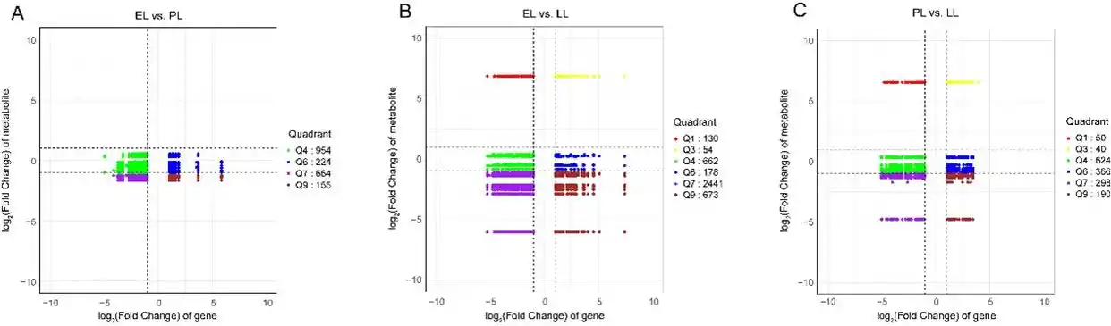 泌乳曲线关键时期调控机制_标准泌乳曲线奶牛_奶牛转录组代谢组分析