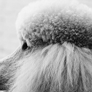 建筑服务增值税税率查询_增值税起征点城建税咨询_增值税起征点幅度如下