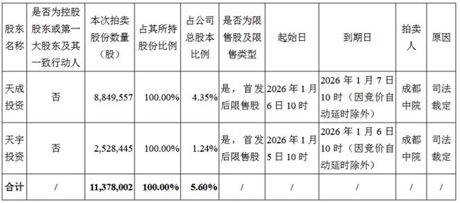 钱江生化股东股份司法拍卖_股票被司法拍卖是利好还是利空_云南水务投资股份有限公司股份拍卖影响