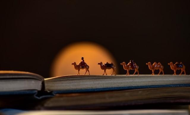 不上班读书赚钱_读实用的书赚钱_写给年轻人的投资理财书