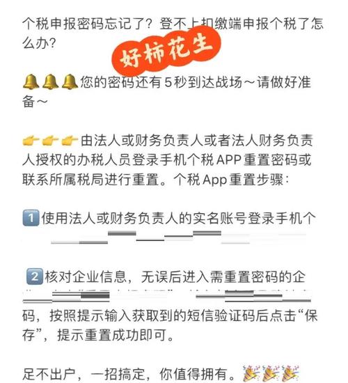 密码找回攻略_中润四方税控盘密码_电子税务局密码重置方法