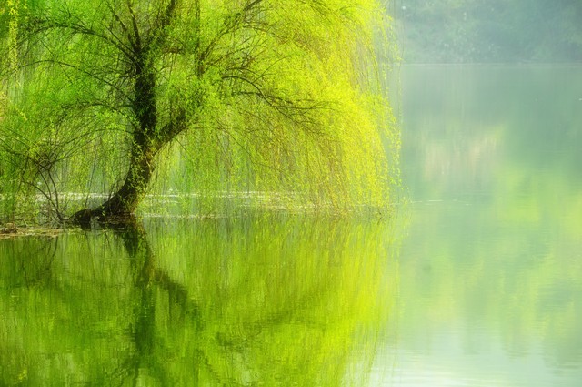 坚持微小改变带来的生活巨变_人生就是理财：30年后，把什么留给自己_普通人的修行之路