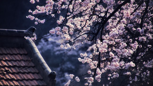 普通人的修行之路_坚持微小改变带来的生活巨变_人生就是理财：30年后，把什么留给自己