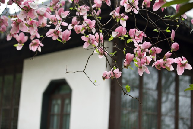 人生就是理财：30年后，把什么留给自己_普通人的修行之路_坚持微小改变带来的生活巨变