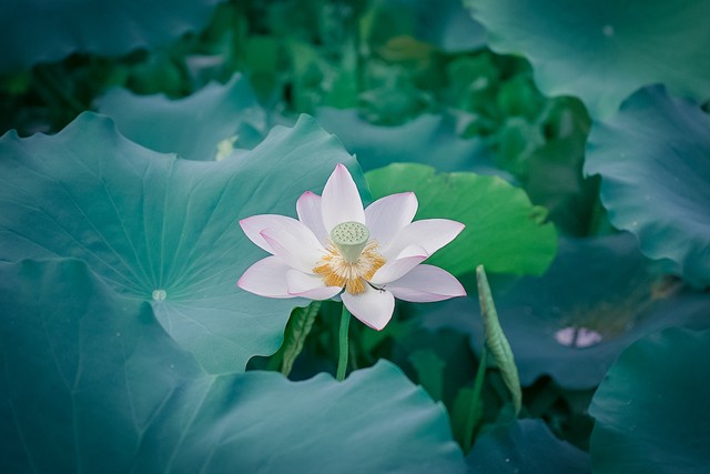 坚持微小改变带来的生活巨变_人生就是理财：30年后，把什么留给自己_普通人的修行之路