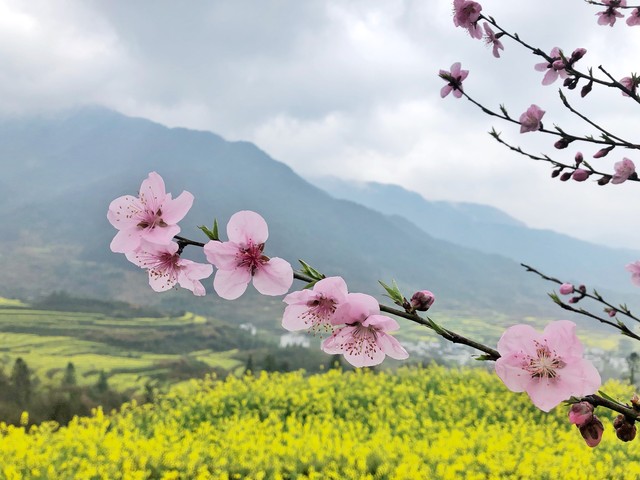 人生就是理财：30年后，把什么留给自己_坚持微小改变带来的生活巨变_普通人的修行之路