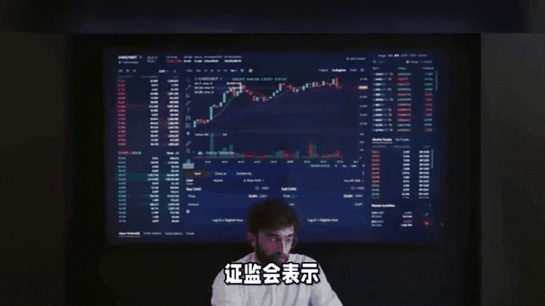 新证券法账户出借争议_证券公司b股开户流程_证券账户实名制多账户登录