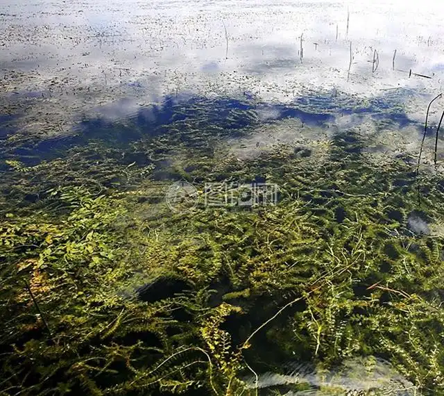 三板溪哪段好钓鱼_贵州大型水库钓鱼攻略_贵州水库钓场