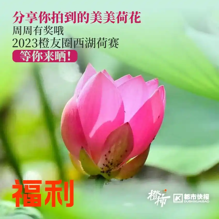 橙柿生活福利打卡_可口可乐 活动_可口可乐草莓味汽水活动