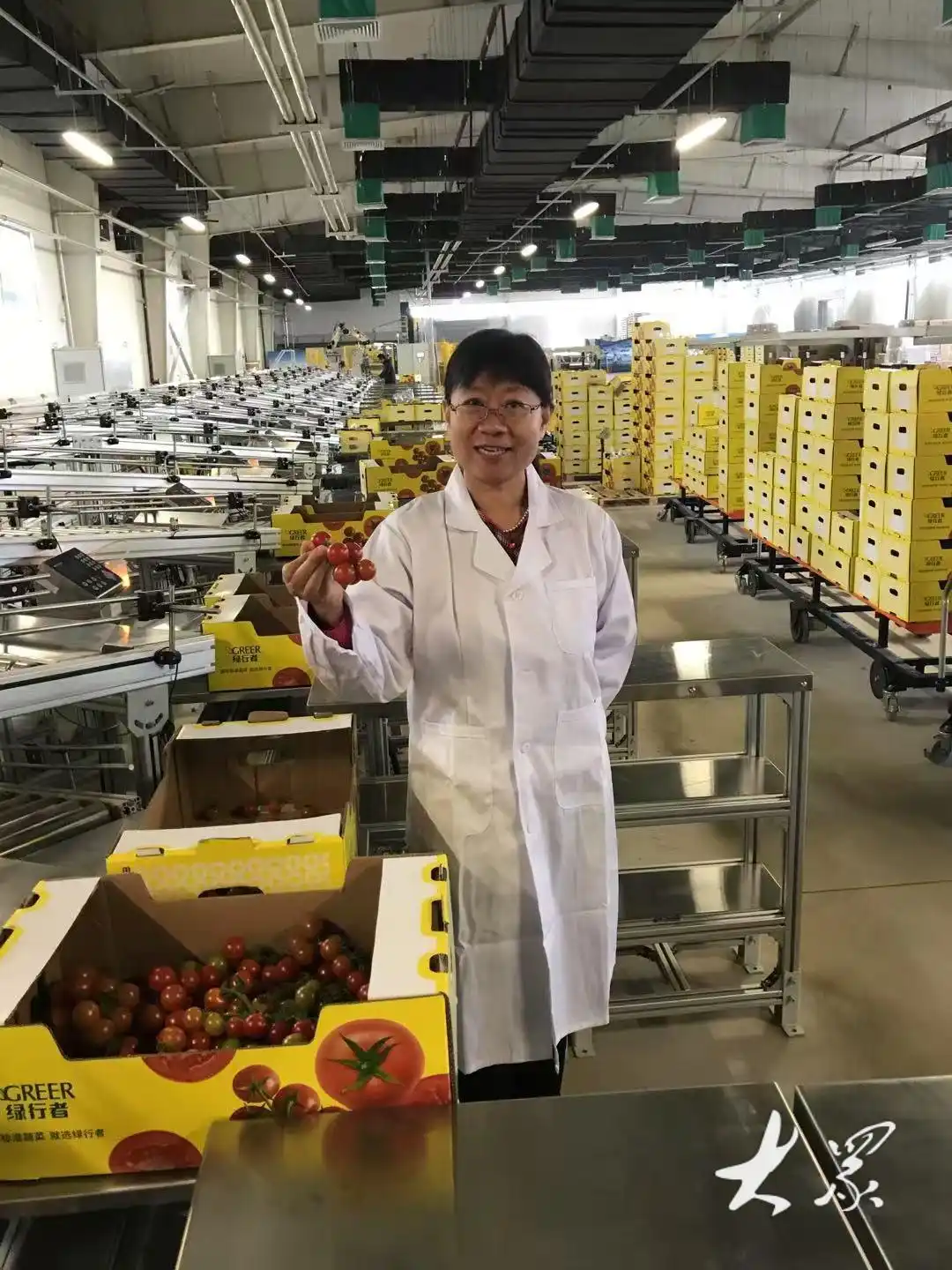 山东蔬菜产业技术体系_山东设施蔬菜技术_寿光果蔬期货