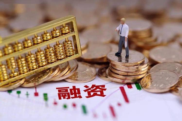轻资产高研发再融资政策_什么叫定向增发_融资资金A股市场