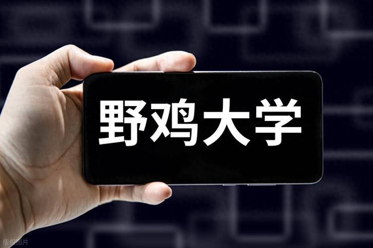 哪些大学属地方高校_高考低分上大学骗局_虚假大学名单查询