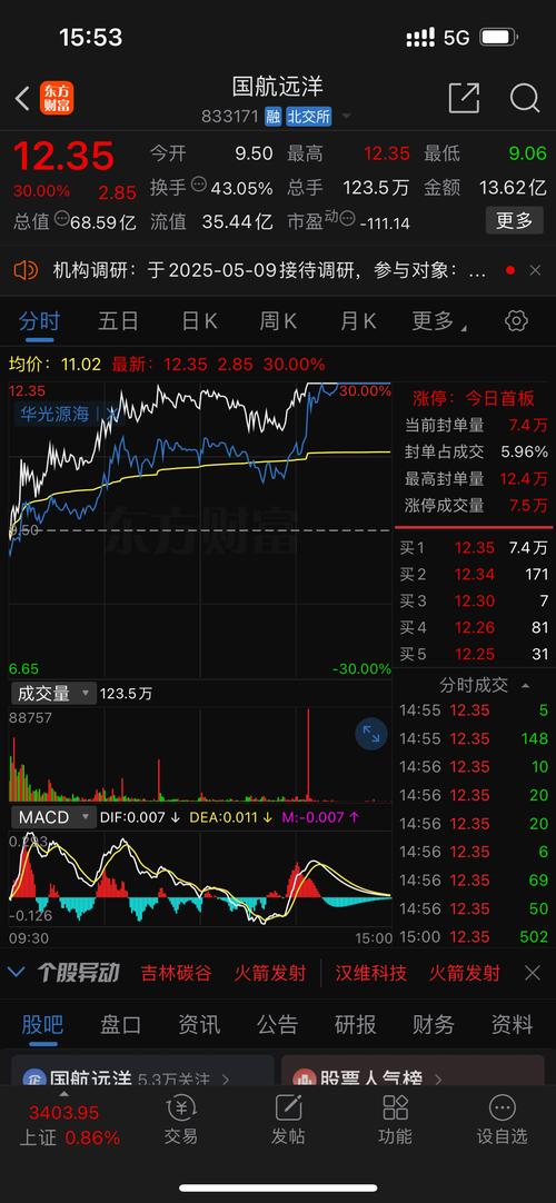 鼎龙科技涨停原因_新材料概念股票有哪些_鼎龙科技资金流向分析